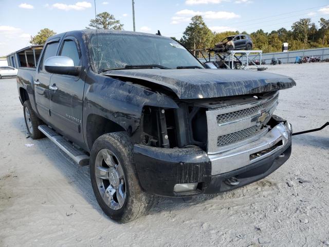 CHEVROLET SILVERADO 2009 with VIN 3GCEC23029G248554 - Photo from auction