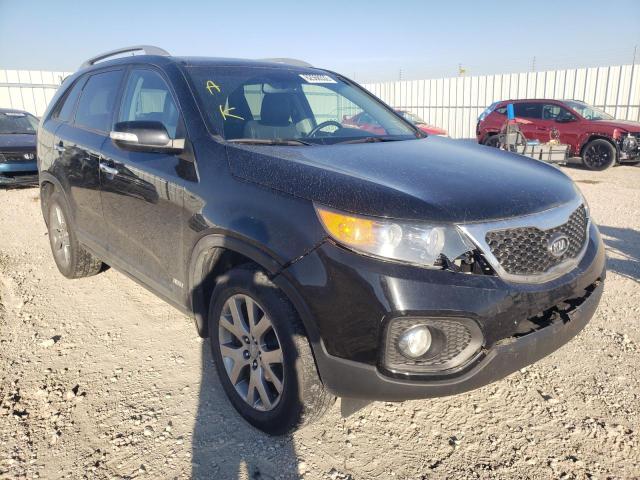 KIA SORENTO EX 2011 with VIN 5XYKUDA24BG183596 - Photo from auction