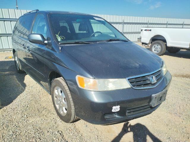 HONDA ODYSSEY 2004 with VIN 5FNRL18964B047600 - Photo from auction