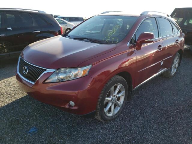 Photo 2 from auction – 2010 LEXUS RX 350 with VIN JTJZK1BA6A2407143