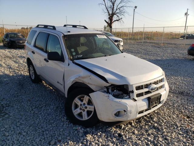 FORD ESCAPE HYB 2010 with VIN 1FMCU4K30AKA47076 - Photo from auction