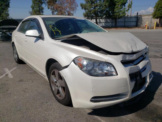 CHEVROLET MALIBU 1LT 2011 with VIN 1G1ZC5E15BF342405 - Photo from auction