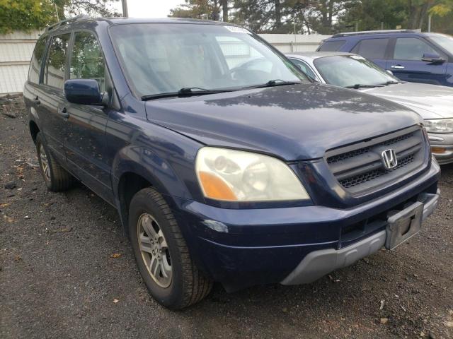 HONDA PILOT EX 2004 with VIN 2HKYF18484H553261 - Photo from auction