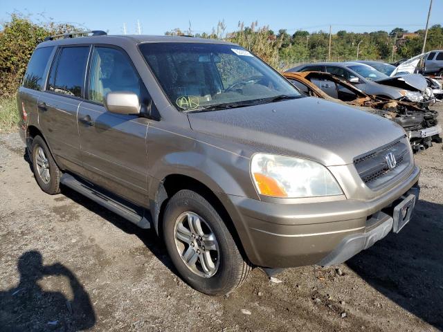 HONDA PILOT EXL 2005 with VIN 2HKYF18765H548376 - Photo from auction