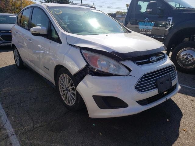 FORD C-MAX SE 2013 with VIN 1FADP5AU8DL501773 - Photo from auction