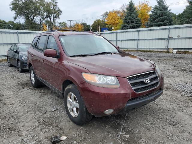 HYUNDAI SANTA FE-V 2007 with VIN 5NMSG73D77H033261 - Photo from auction