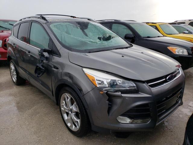 FORD ESCAPE TIT 2014 with VIN 1FMCU0JX4EUD85376 - Photo from auction