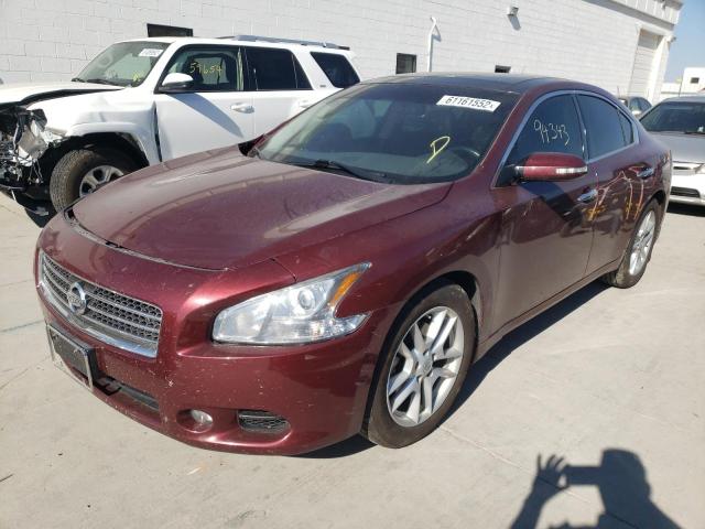 Photo 2 from auction – 2010 NISSAN MAXIMA S with VIN 1N4AA5AP2AC840278