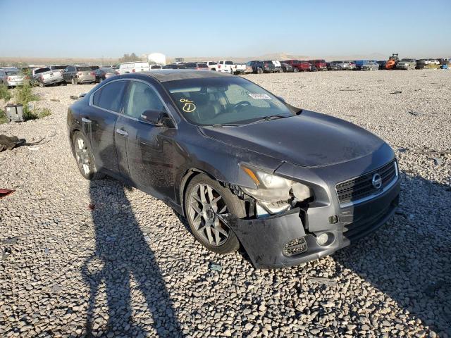 NISSAN MAXIMA S 2011 with VIN 1N4AA5AP2BC835504 - Photo from auction