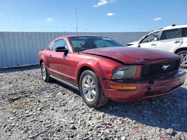 FORD MUSTANG 2007 with VIN 1ZVFT80N675341828 - Photo from auction