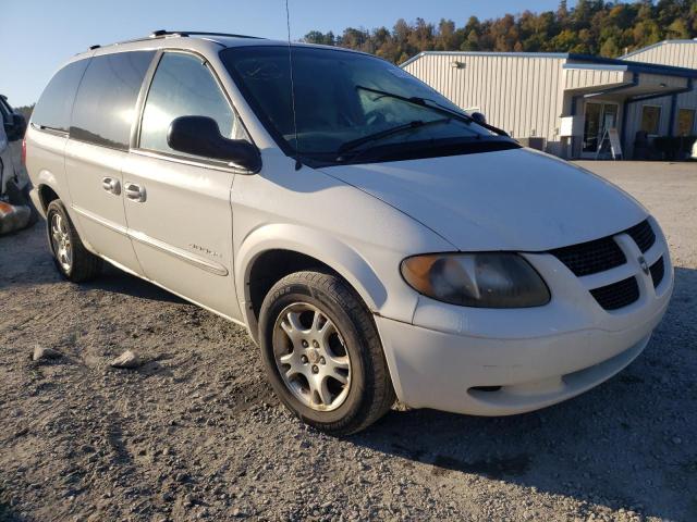DODGE GRAND CARA 2001 with VIN 2B4GP74L51R302475 - Photo from auction