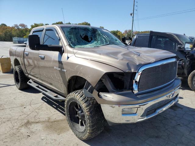 DODGE RAM 1500 2009 with VIN 1D3HB13T29J529411 - Photo from auction