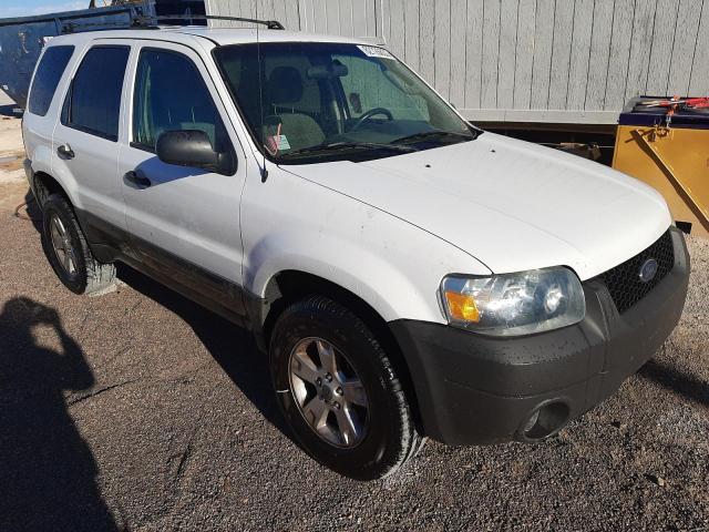 FORD ESCAPE XLT 2006 with VIN 1FMYU93136KC97306 - Photo from auction