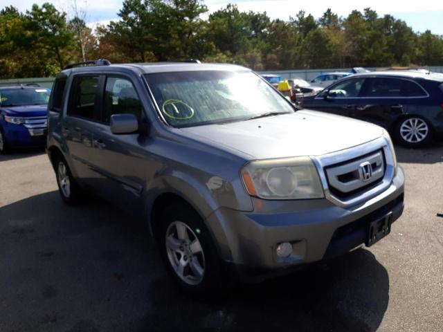 HONDA PILOT EXL 2009 with VIN 5FNYF485X9B025981 - Photo from auction
