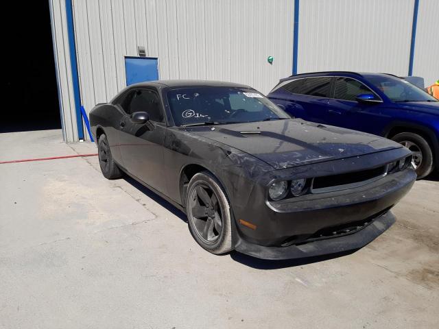DODGE CHALLENGER 2014 with VIN 2C3CDYAG0EH220211 - Photo from auction
