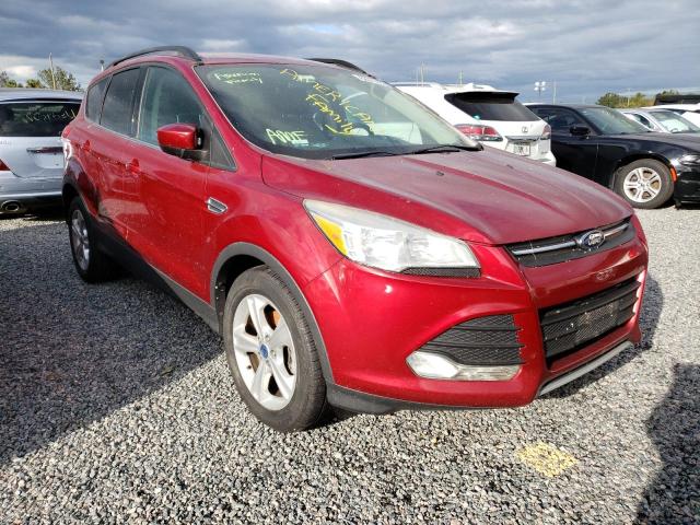 FORD ESCAPE SE 2013 with VIN 1FMCU0GX1DUD17901 - Photo from auction