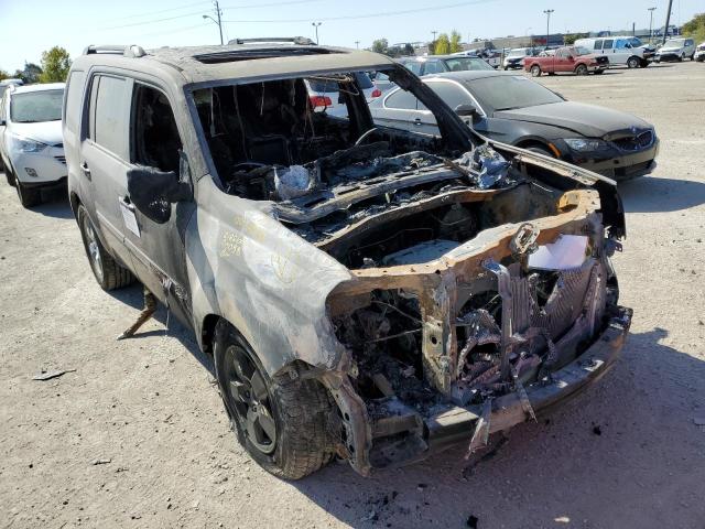 HONDA PILOT EXL 2009 with VIN 5FNYF48519B007126 - Photo from auction