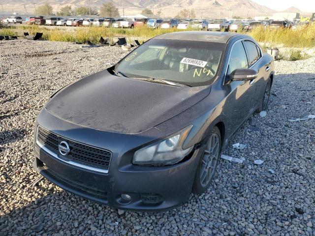 Photo 2 from auction – 2011 NISSAN MAXIMA S with VIN 1N4AA5AP2BC835504
