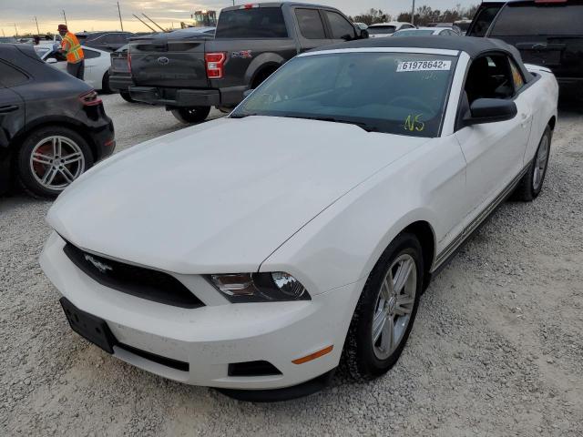 Photo 2 from auction – 2011 FORD MUSTANG with VIN 1ZVBP8EM2B5100800