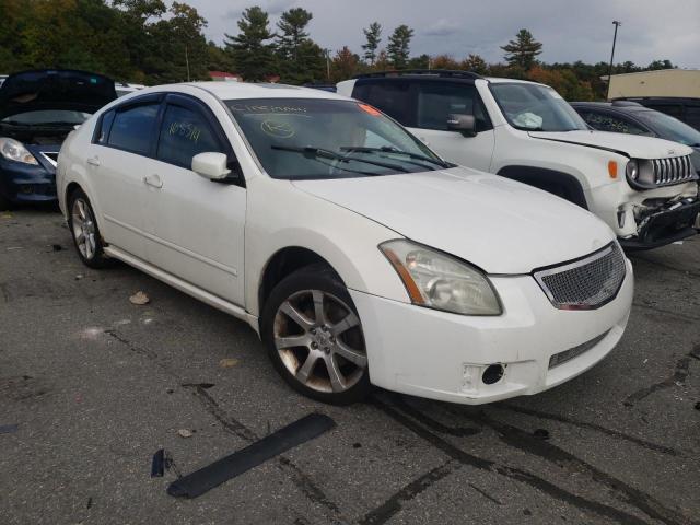 NISSAN MAXIMA SE 2007 with VIN 1N4BA41E57C803733 - Photo from auction