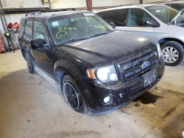 FORD ESCAPE XLT 2010 with VIN 1FMCU9DGXAKB07331 - Photo from auction
