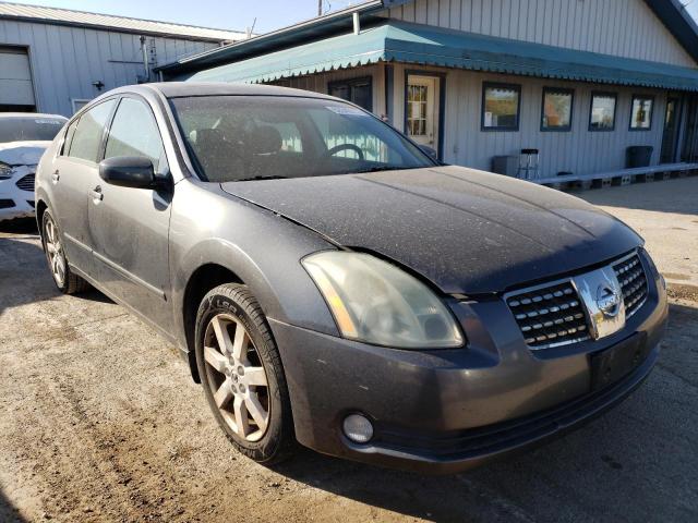 NISSAN MAXIMA SE 2004 with VIN 1N4BA41E54C903214 - Photo from auction