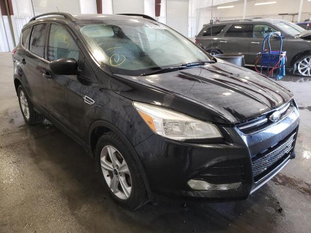 FORD ESCAPE SE 2014 with VIN 1FMCU0GX0EUD58926 - Photo from auction