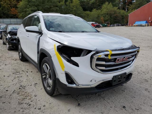 GMC TERRAIN SL 2019 with VIN 3GKALVEV1KL168088 - Photo from auction