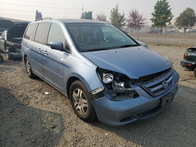 HONDA ODYSSEY EX 2007 with VIN 5FNRL38717B014695 - Photo from auction