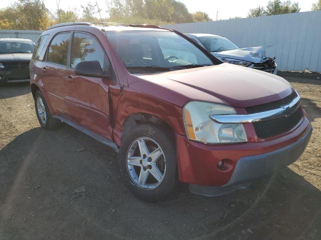 CHEVROLET EQUINOX LT 2005 with VIN 2CNDL73F456089583 - Photo from auction