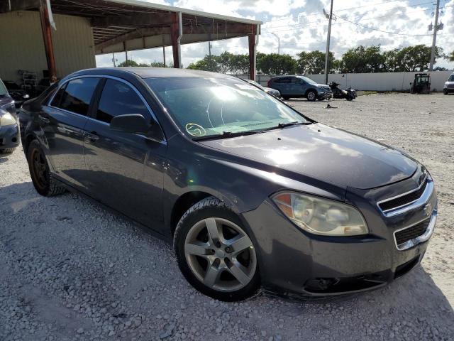 CHEVROLET MALIBU LS 2010 with VIN 1G1ZB5EB8AF235259 - Photo from auction