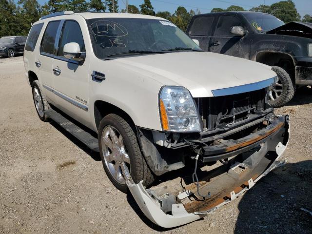CADILLAC ESCALADE P 2010 with VIN 1GYUCCEF0AR257433 - Photo from auction