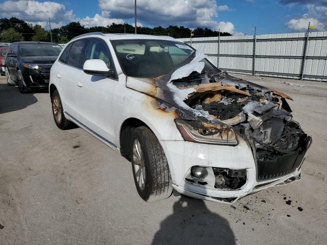 AUDI Q5 PREMIUM 2013 with VIN WA1LFAFPXDA012480 - Photo from auction