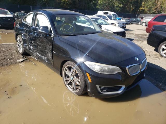 BMW 228 I 2014 with VIN WBA1F5C57EV246364 - Photo from auction
