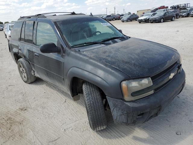 CHEVROLET TRAILBLAZE 2008 with VIN 1GNDS13S382126567 - Photo from auction
