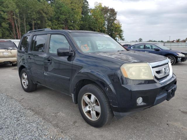 HONDA PILOT EXL 2010 with VIN 5FNYF4H56AB034567 - Photo from auction