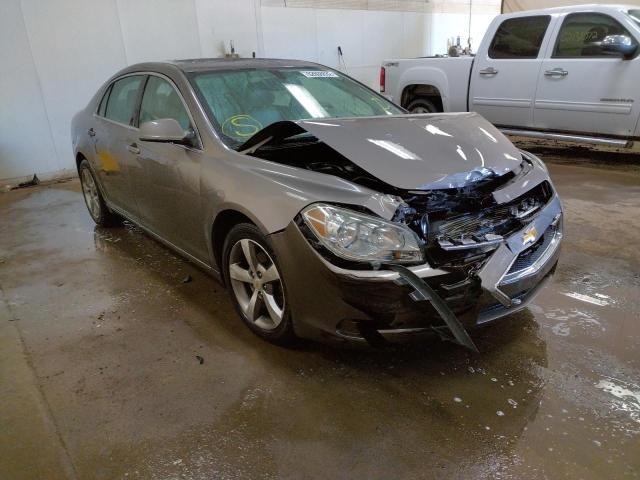 CHEVROLET MALIBU 2LT 2011 with VIN 1G1ZD5E13BF309352 - Photo from auction