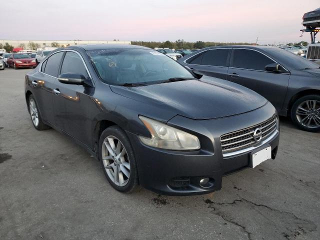 NISSAN MAXIMA 2010 with VIN 1N4AA5AP8AC861314 - Photo from auction