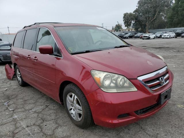 HONDA ODYSSEY EX 2006 with VIN 5FNRL38786B066856 - Photo from auction