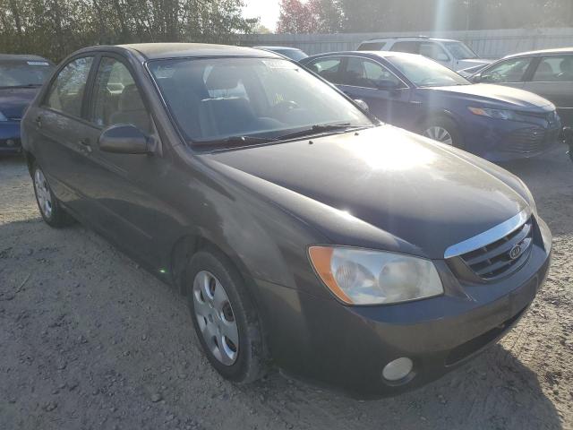 KIA SPECTRA LX 2004 with VIN KNAFE121X45042396 - Photo from auction