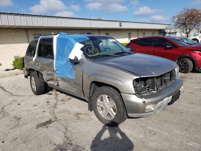 CHEVROLET TRAILBLAZE 2002 with VIN 1GNDT13S822491217 - Photo from auction