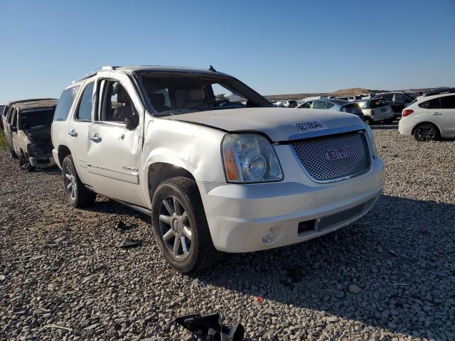 GMC YUKON DENA 2012 with VIN 1GKS2EEF6CR300336 - Photo from auction