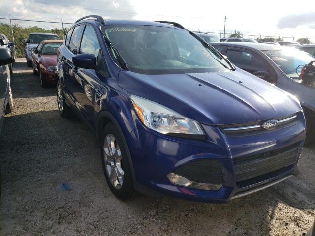 FORD ESCAPE SE 2013 with VIN 1FMCU0GX0DUC99391 - Photo from auction