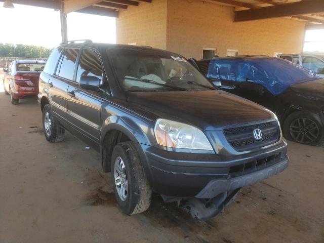 HONDA PILOT EXL 2005 with VIN 5FNYF18565B068447 - Photo from auction