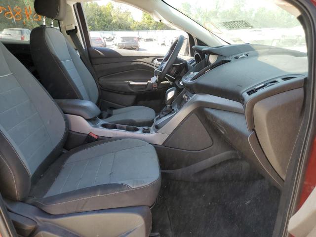 Photo 5 from auction – 2014 FORD ESCAPE SE with VIN 1FMCU0GX0EUB00583