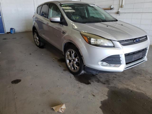 FORD ESCAPE SE 2014 with VIN 1FMCU0G94EUB14486 - Photo from auction