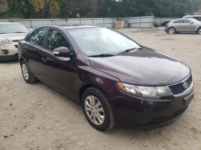KIA FORTE EX 2010 with VIN KNAFU4A28A5301431 - Photo from auction