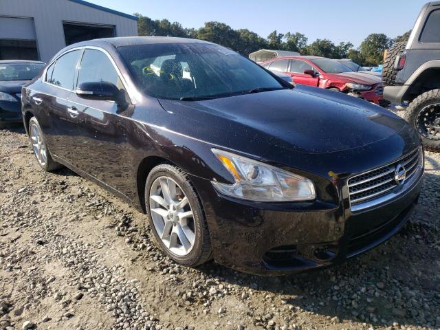 NISSAN MAXIMA S 2010 with VIN 1N4AA5AP8AC841046 - Photo from auction