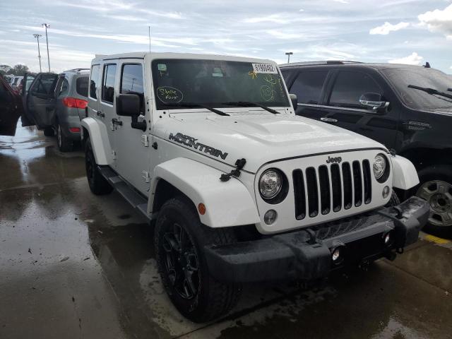 Photo 1 from auction – 2017 JEEP WRANGLER U with VIN 1C4BJWEG7HL687471