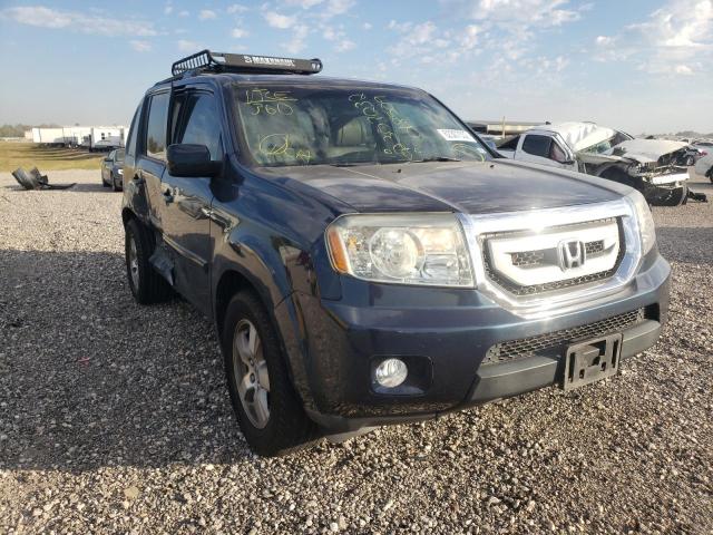 HONDA PILOT EXL 2009 with VIN 5FNYF38539B018509 - Photo from auction